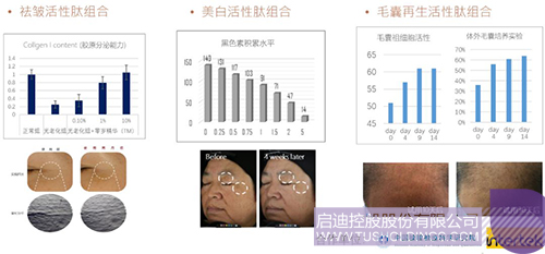 欧博ABG会员网址- abg欧博会员登录